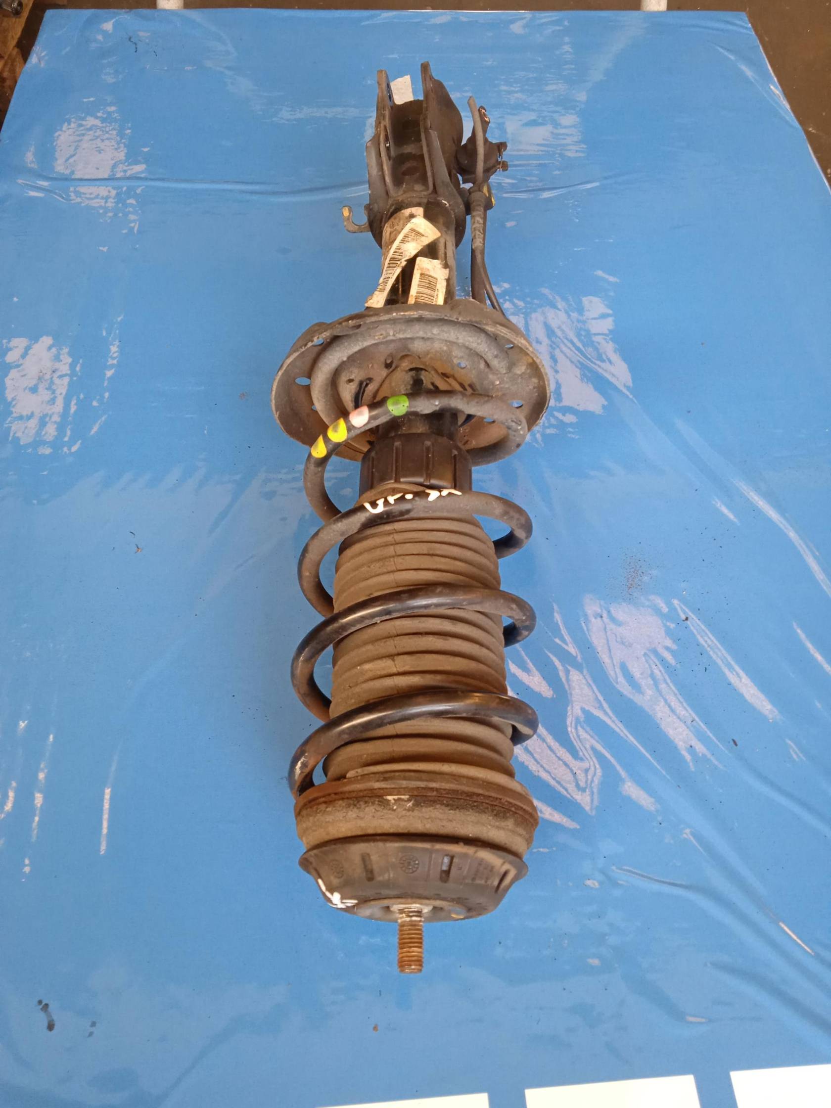 Ammortizzatore ant. sx.